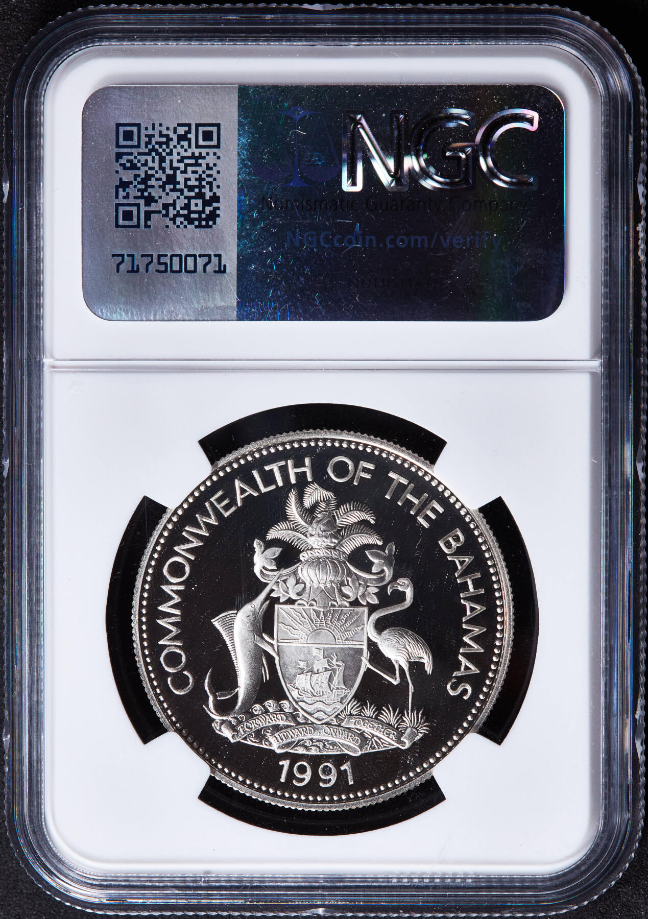 【俄甄集藏】“万象更新、马呈祥瑞”迎新春俄甄精品场-2026年(047)01-21 星期三 晚 19:30 全场包邮