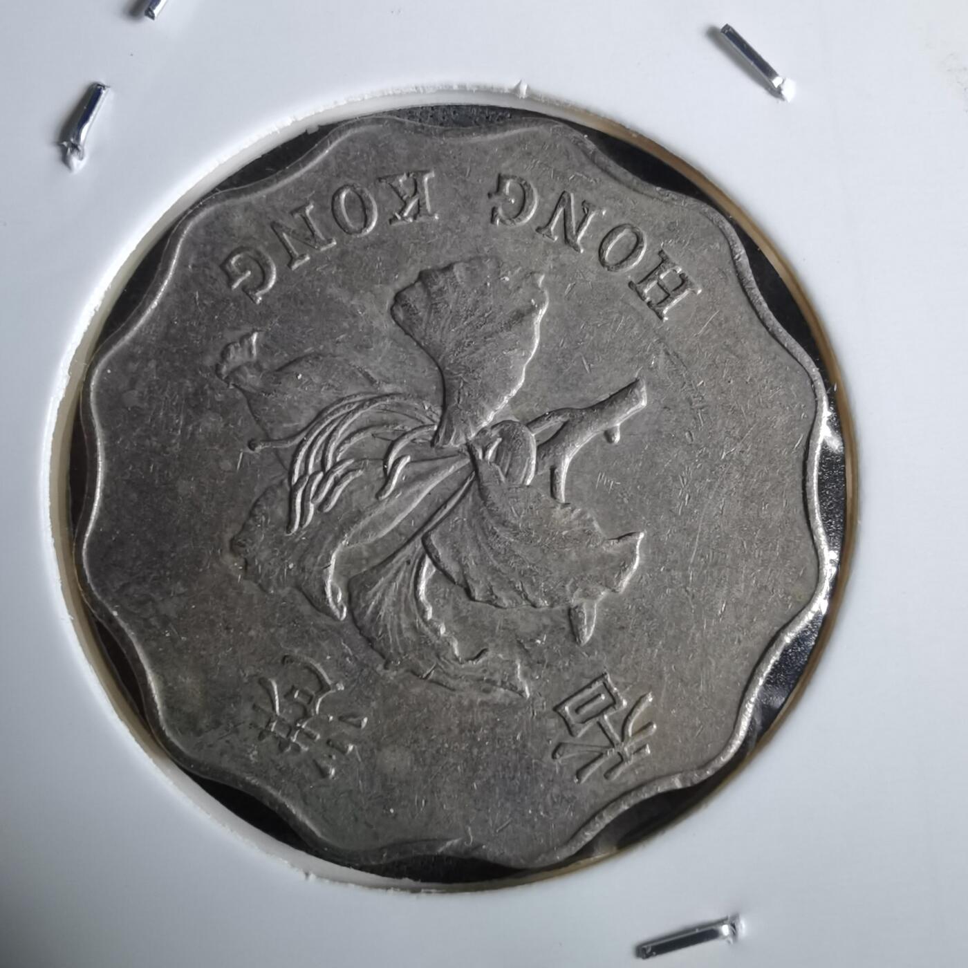 沼泽如烟--第963场