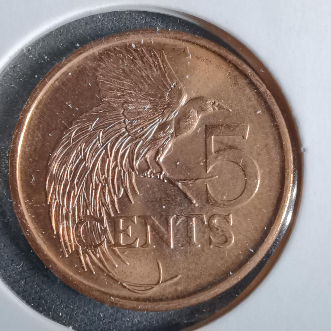 沼泽如烟--第963场