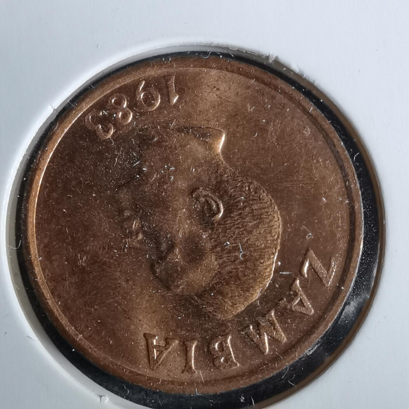 沼泽如烟--第963场