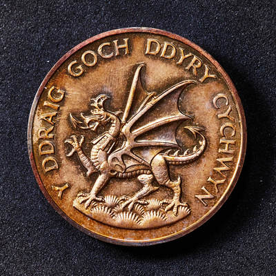 【俄甄集藏】“万象更新、马呈祥瑞”迎新春俄甄精品场-2026年(047)01-21 星期三 晚 19:30 全场包邮 - 英国1969年查尔斯王子受封威尔士亲王纪念铜章，威尔士直径：31mm，重量：26.21克，包浆匀称