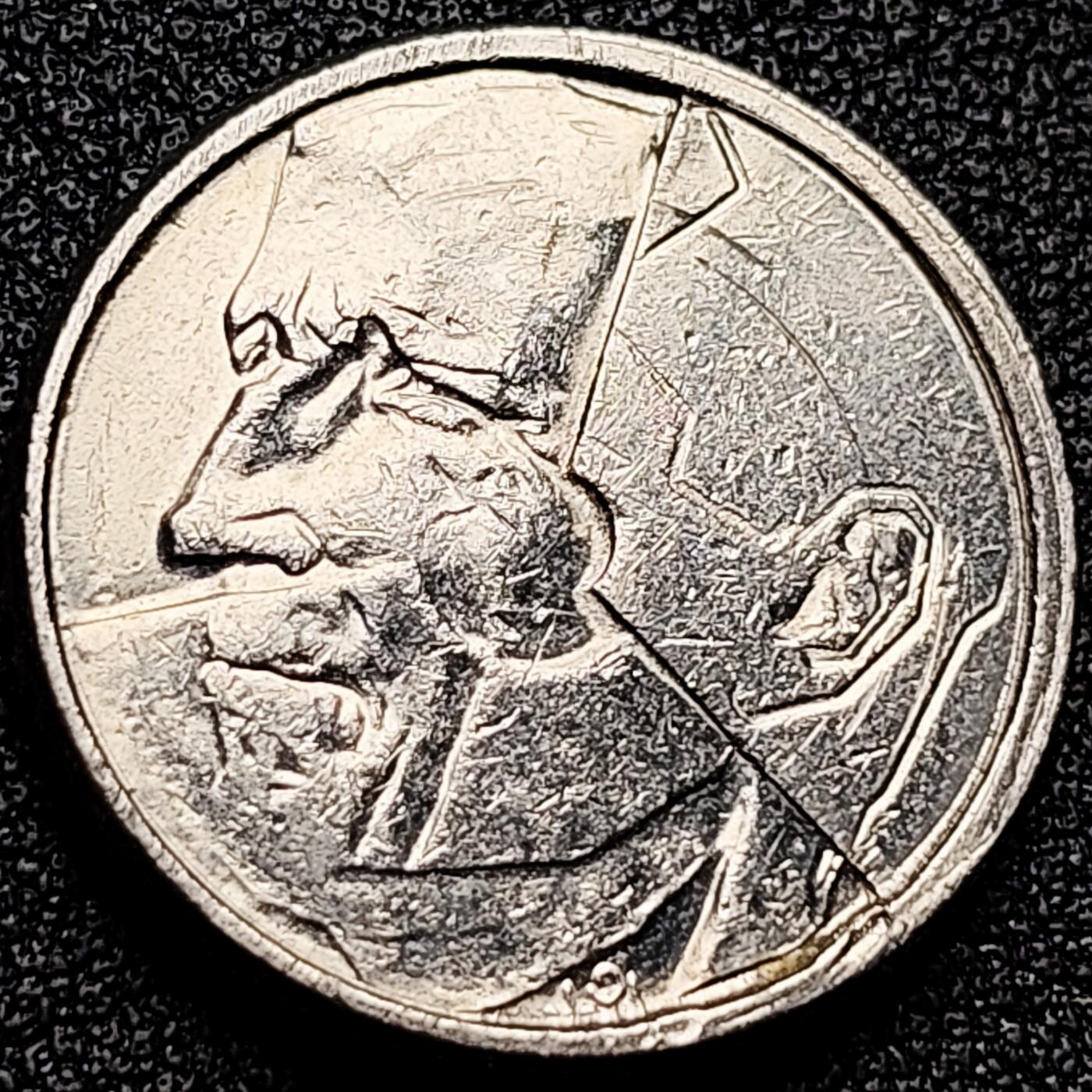 泉币菌-第171场- 精品福利场 。