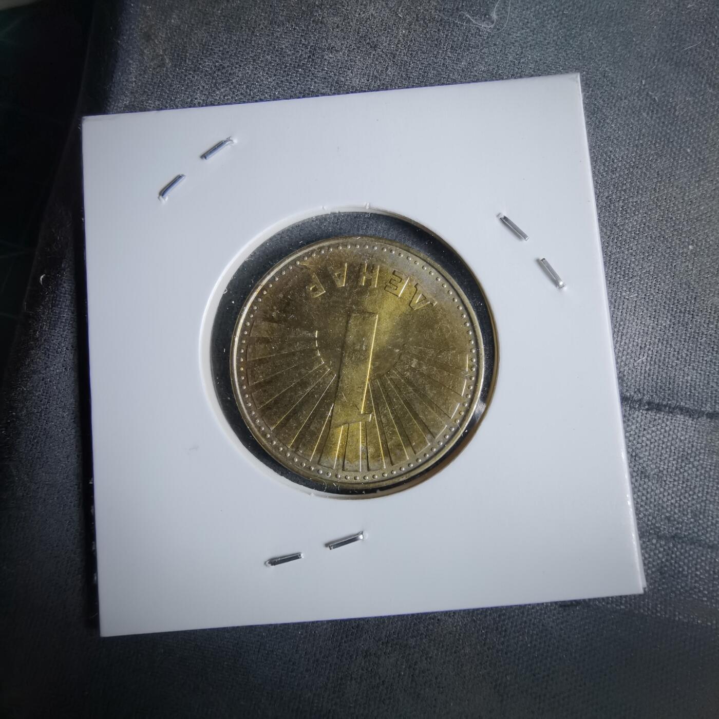 沼泽如烟--第963场