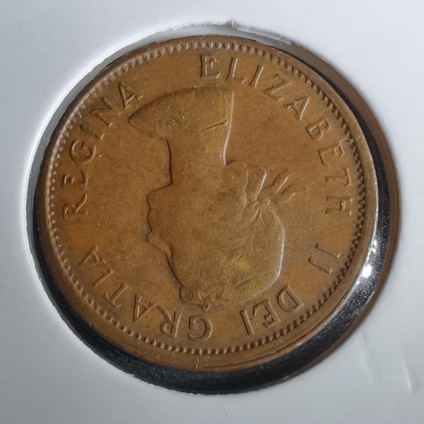 沼泽如烟--第965场