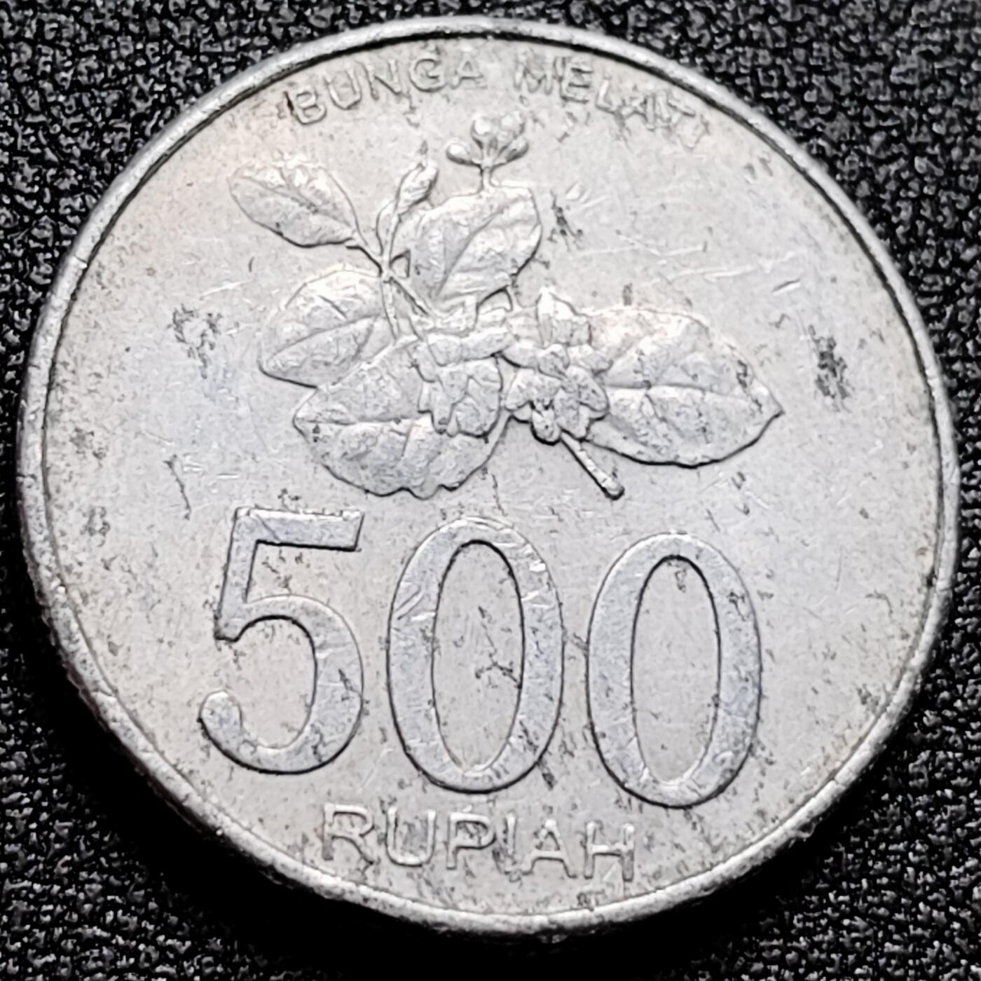 泉币菌-第171场- 精品福利场 。