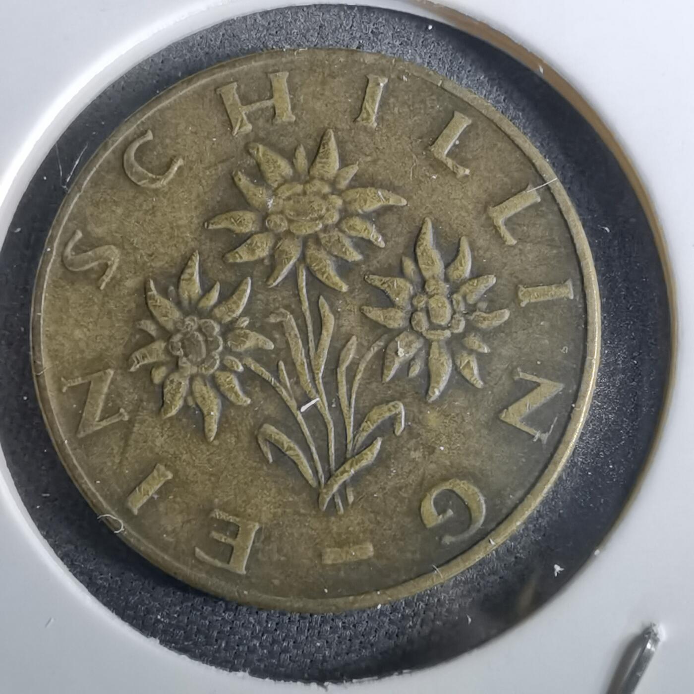 沼泽如烟--第965场