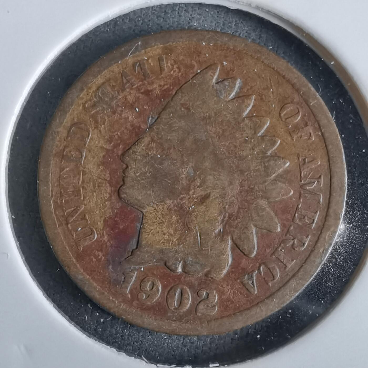 沼泽如烟--第963场