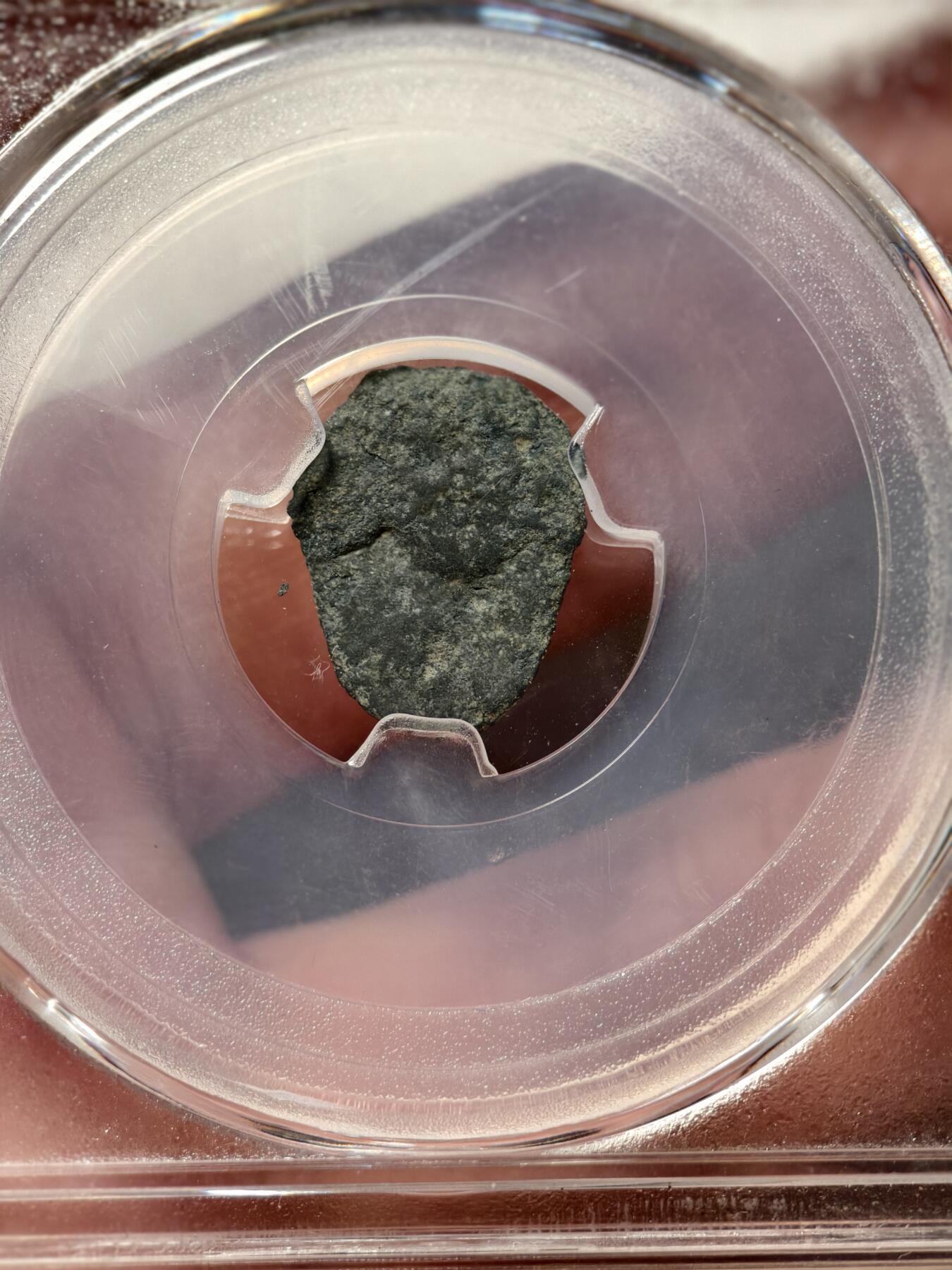 抚柳草堂-第九期章牌钱币（大寒专场） 奖章勋章限时免佣 满百包邮 放漏专场 战国 楚 蚁鼻钱 巽 闻德评级82分