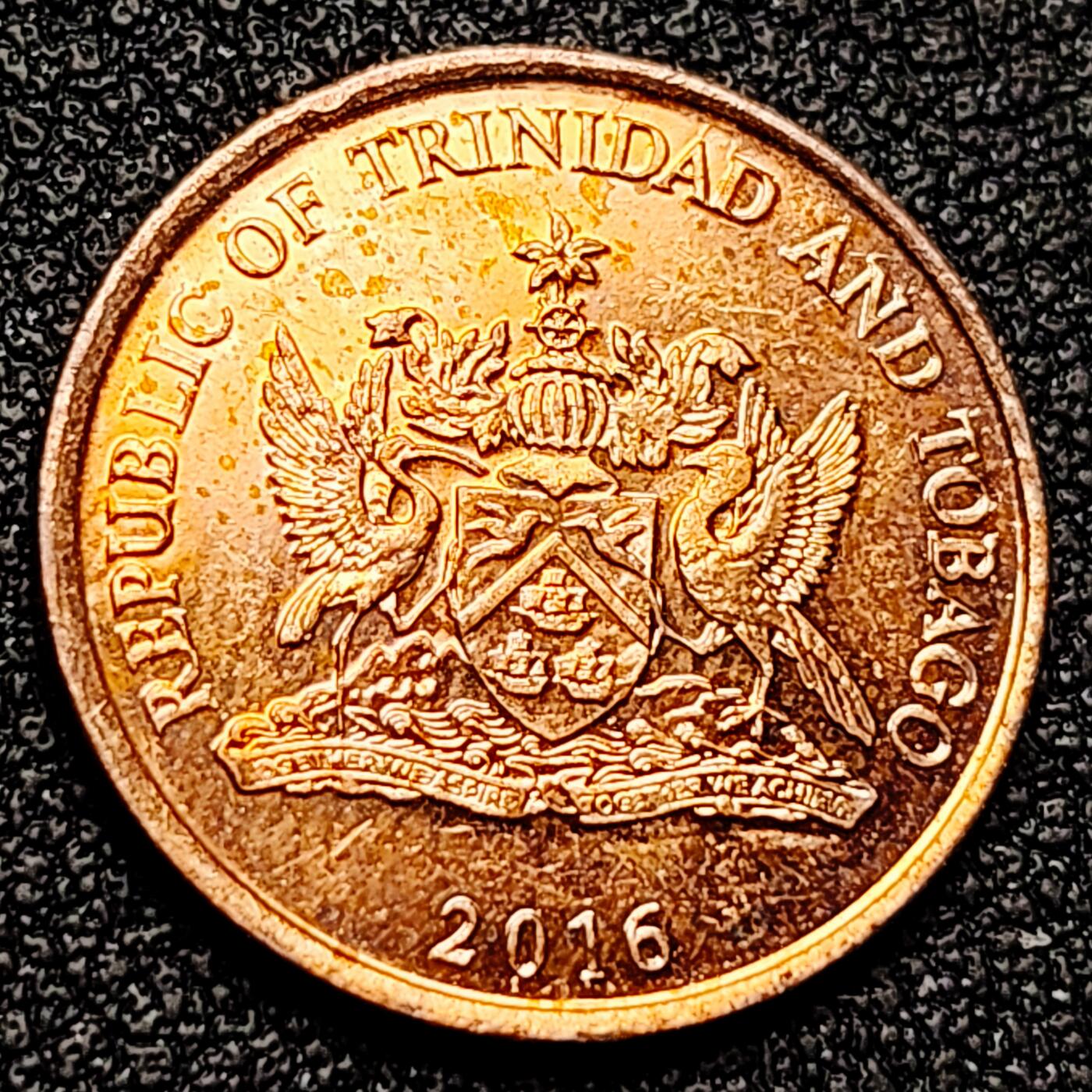 泉币菌-第171场- 精品福利场 。