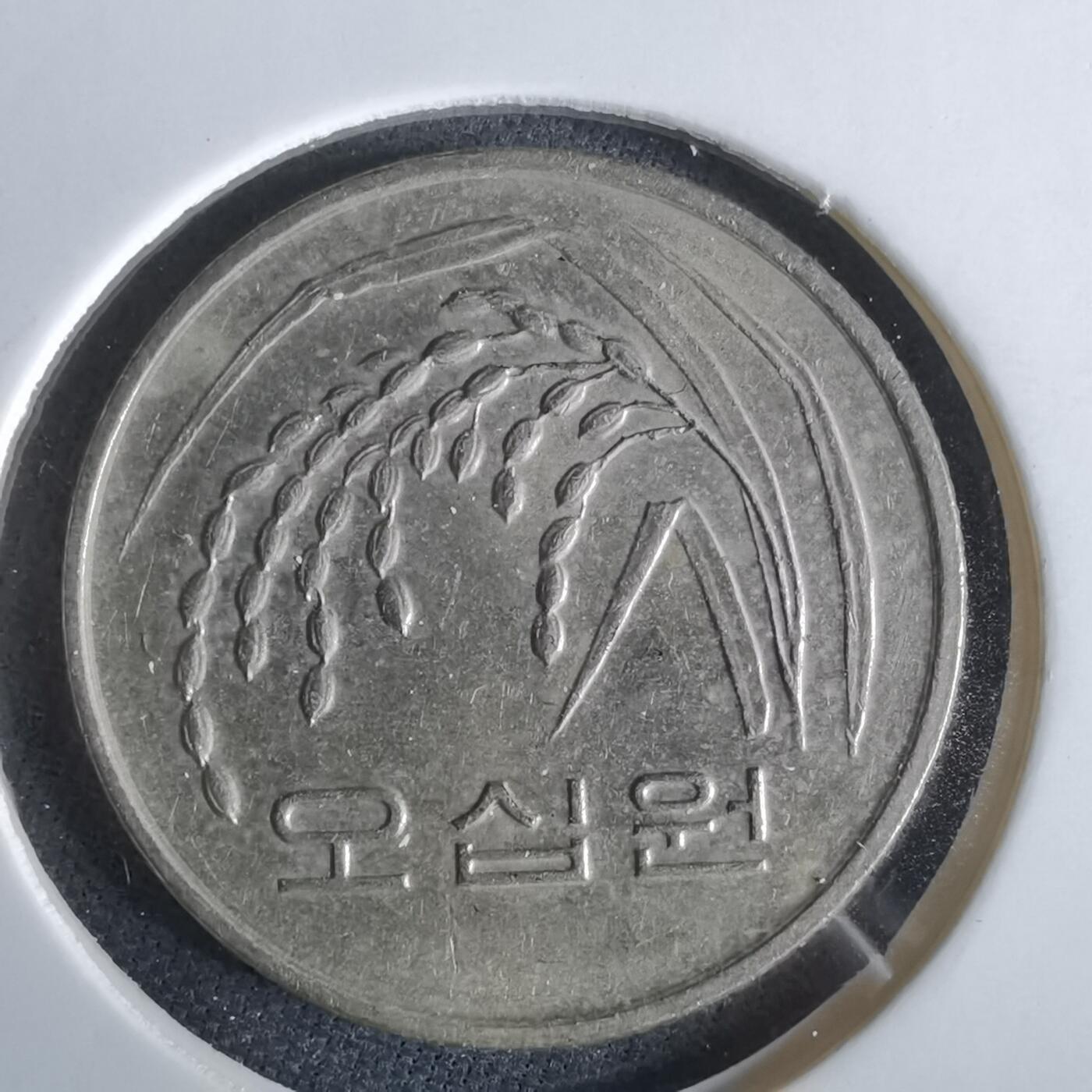 沼泽如烟--第965场