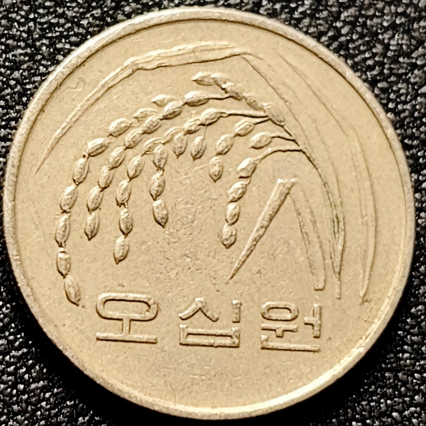 泉币菌-第171场- 精品福利场 。