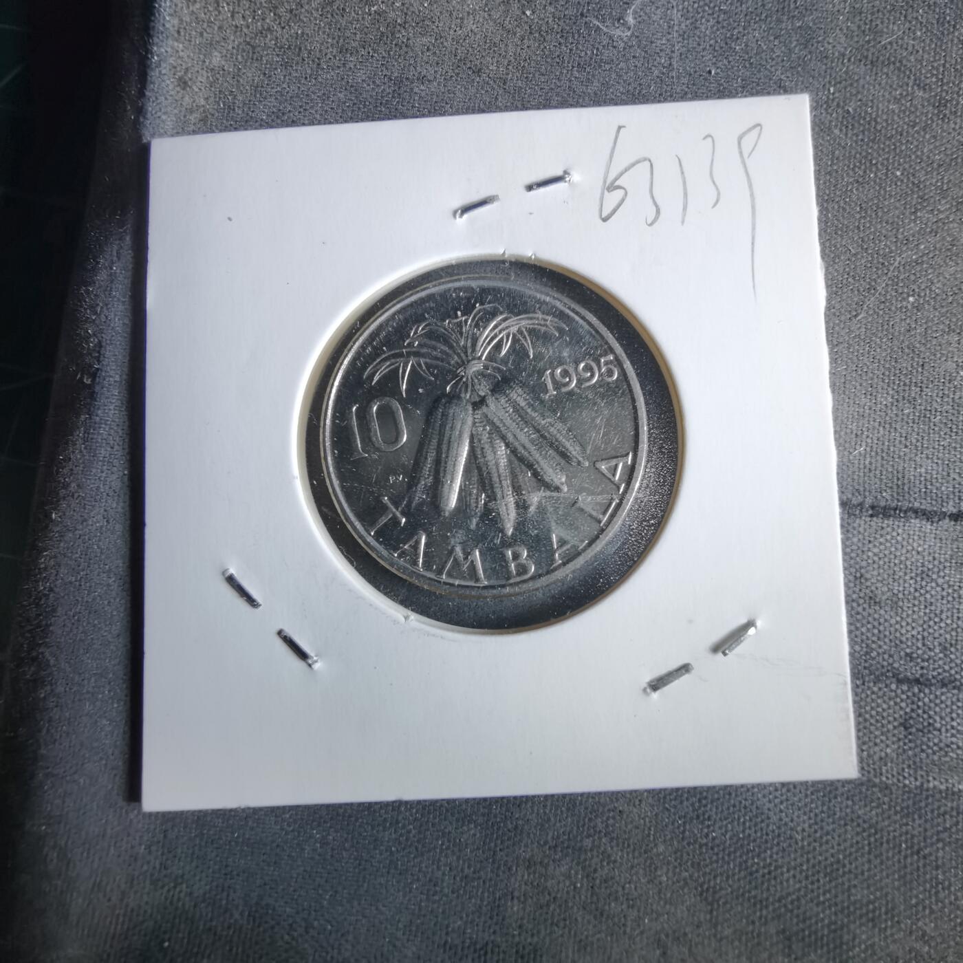 沼泽如烟--第963场