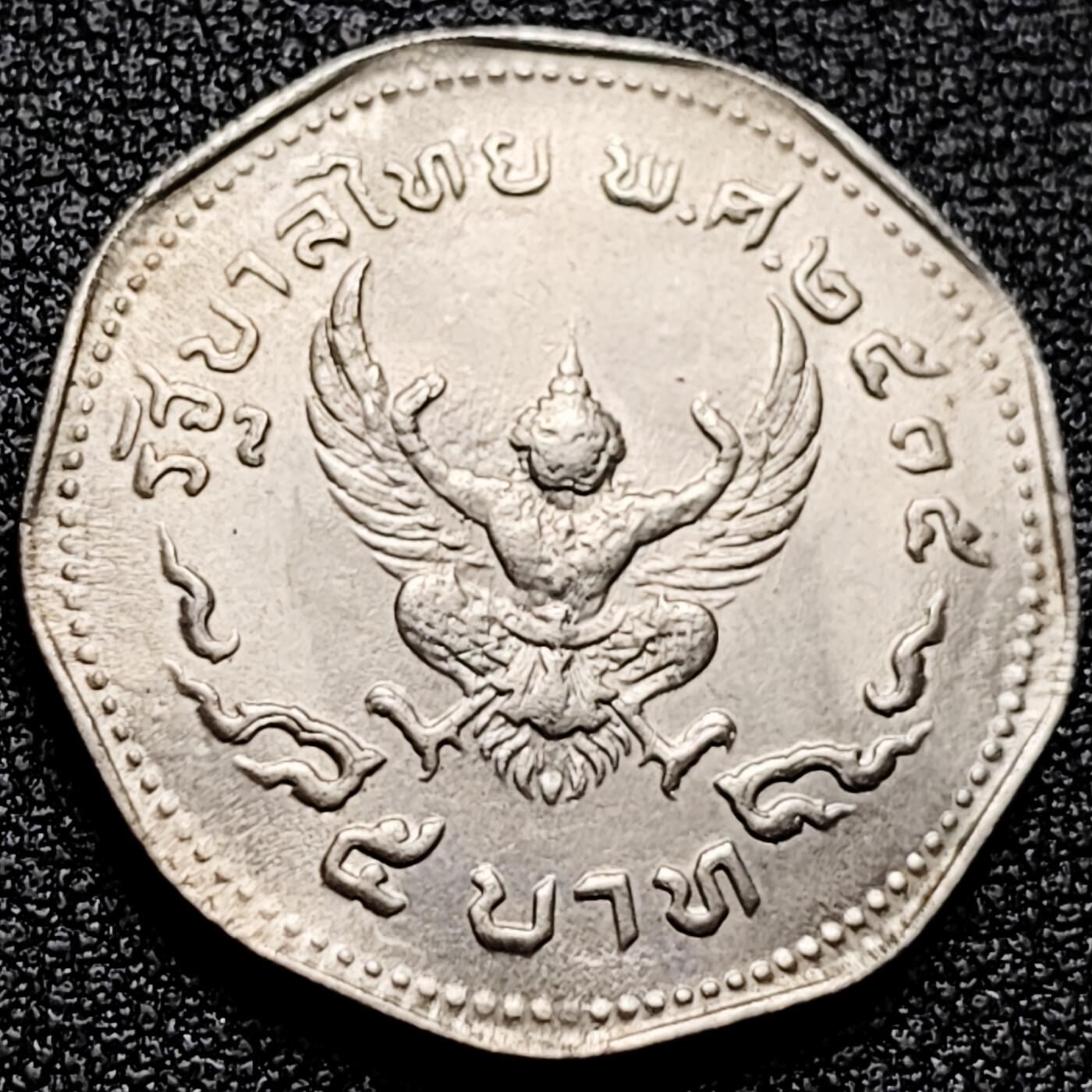 泉币菌-第171场- 精品福利场 。