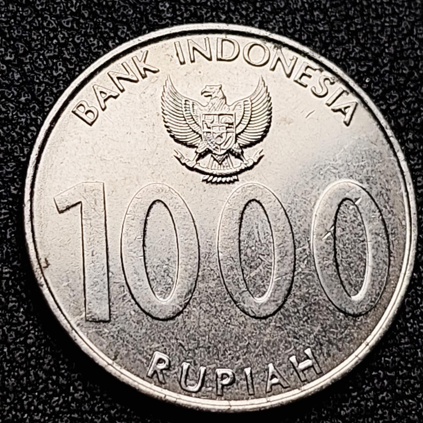 泉币菌-第171场- 精品福利场 。