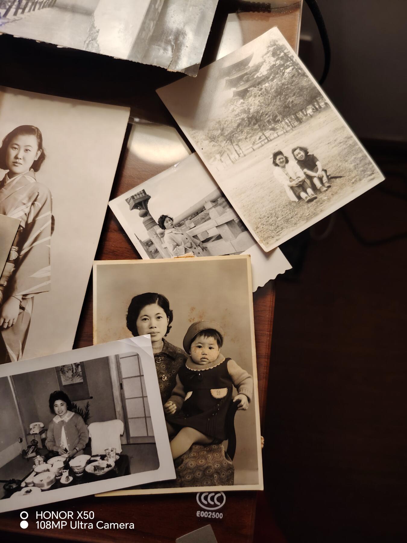 城南花开💐85场 照片一堆