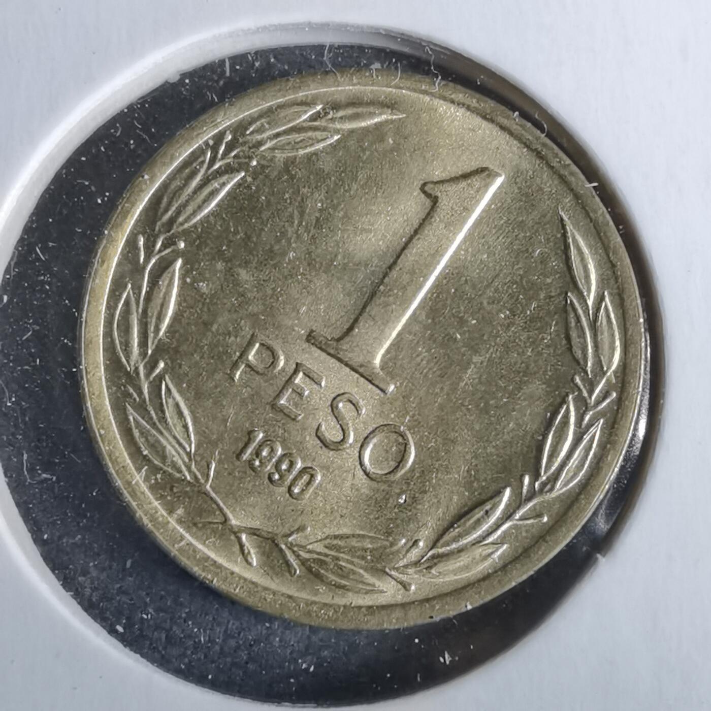 沼泽如烟--第963场