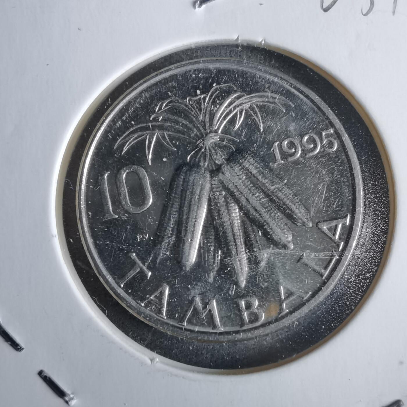 沼泽如烟--第963场