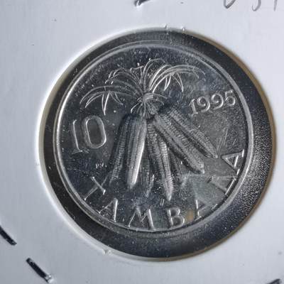 沼泽如烟--第963场 - 马拉维1995年10坦巴拉