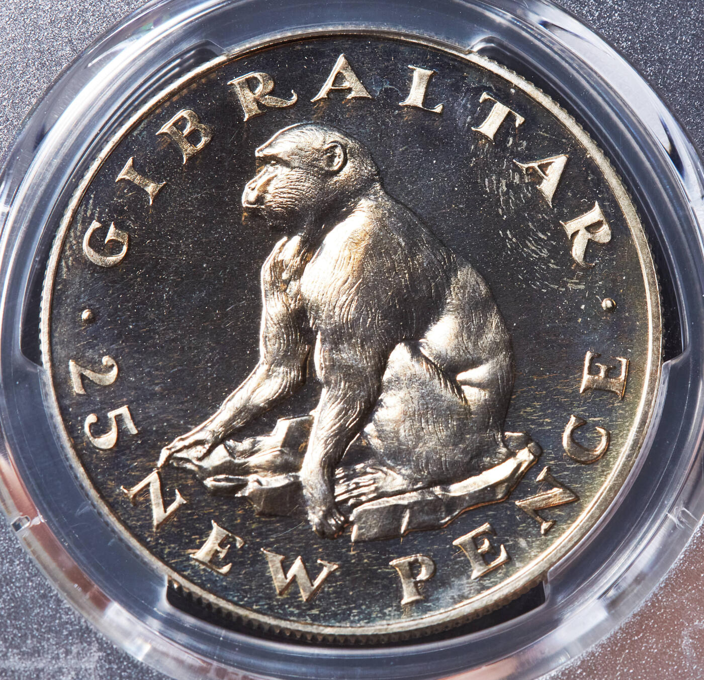 【俄甄集藏】“万象更新、马呈祥瑞”迎新春俄甄精品场-2026年(047)01-21 星期三 晚 19:30 全场包邮 英属直布罗陀1971年伊丽莎白二世25新便士地中海猕猴精制大银币，PCGS PR66，重28.28克，500银，发行量20000枚