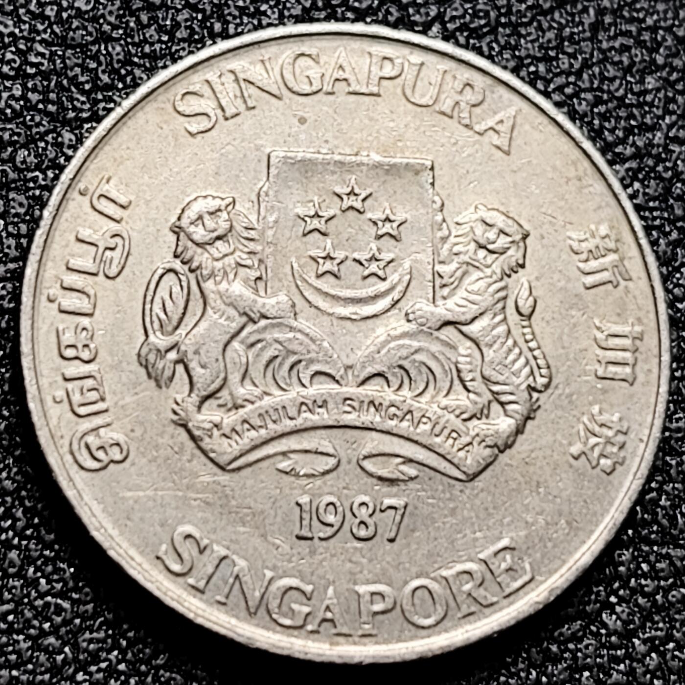 泉币菌-第171场- 精品福利场 。