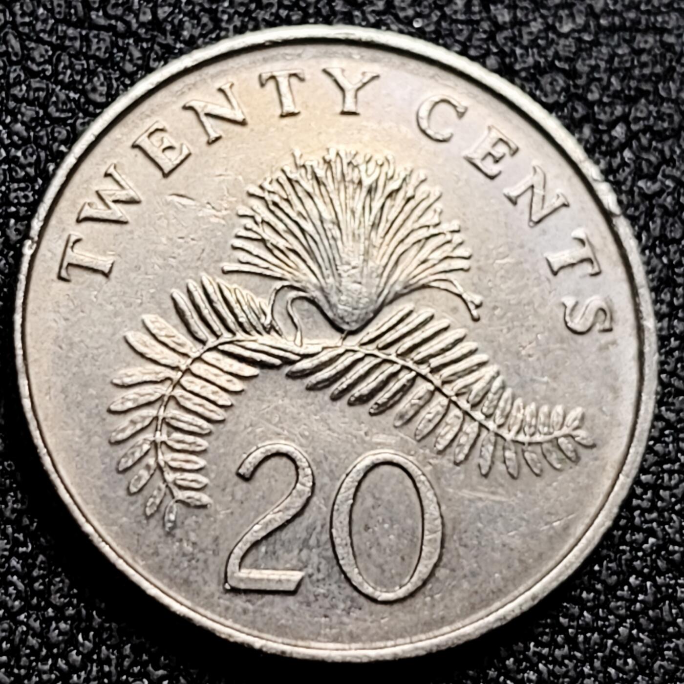 泉币菌-第171场- 精品福利场 。