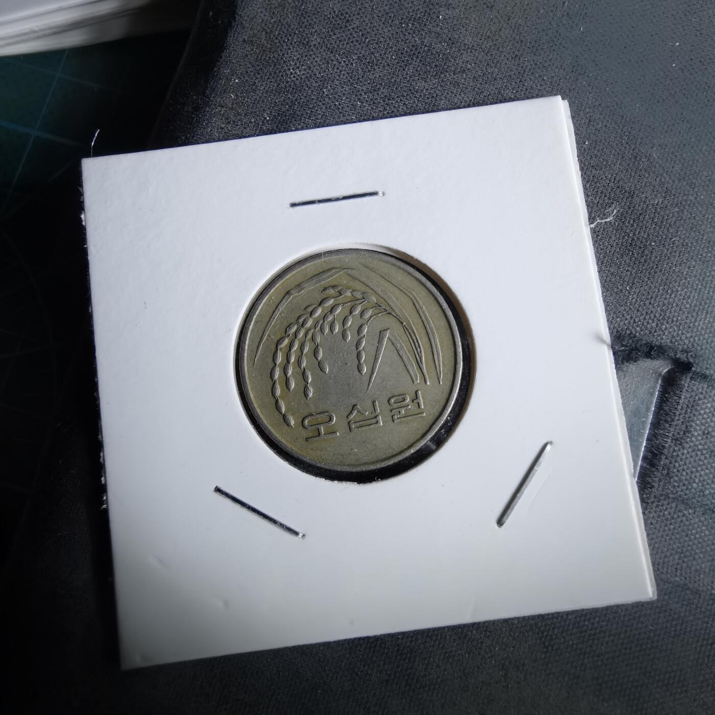 沼泽如烟--第965场