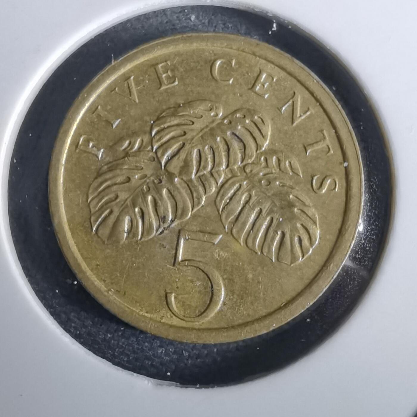 沼泽如烟--第965场