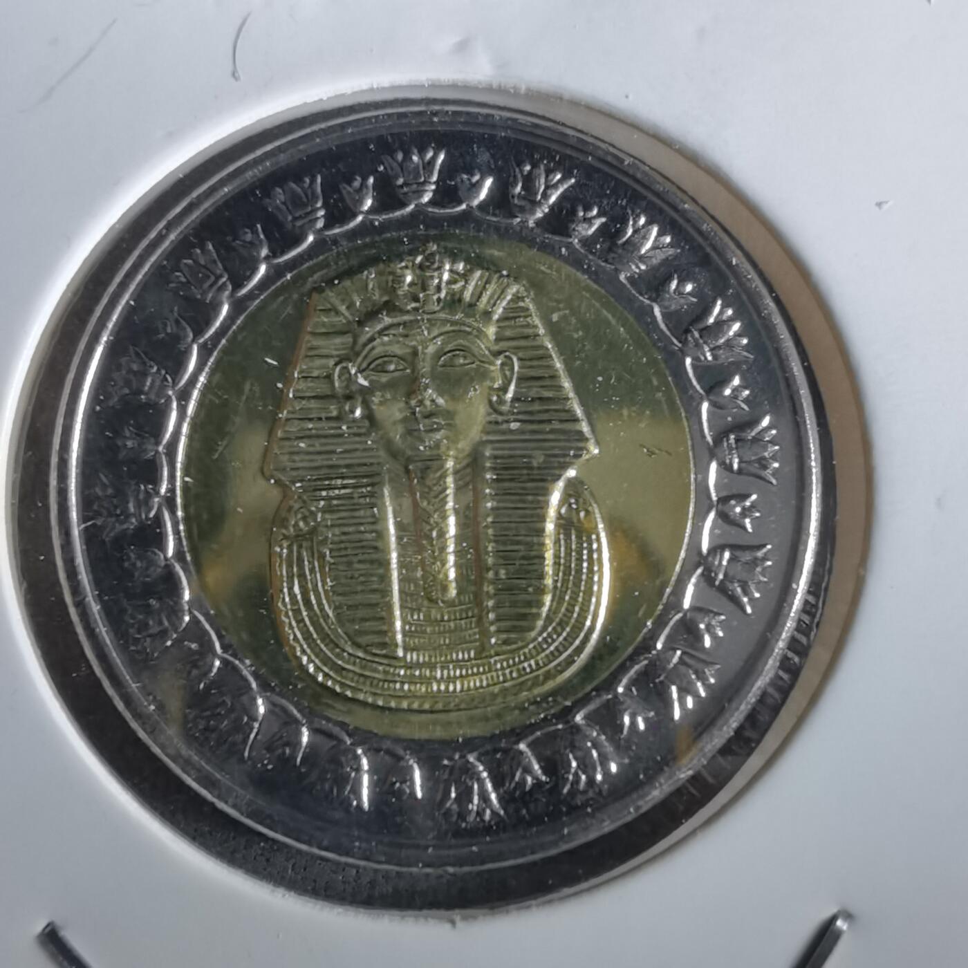 沼泽如烟--第965场 埃及