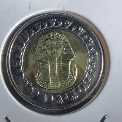 沼泽如烟--第965场 - 埃及