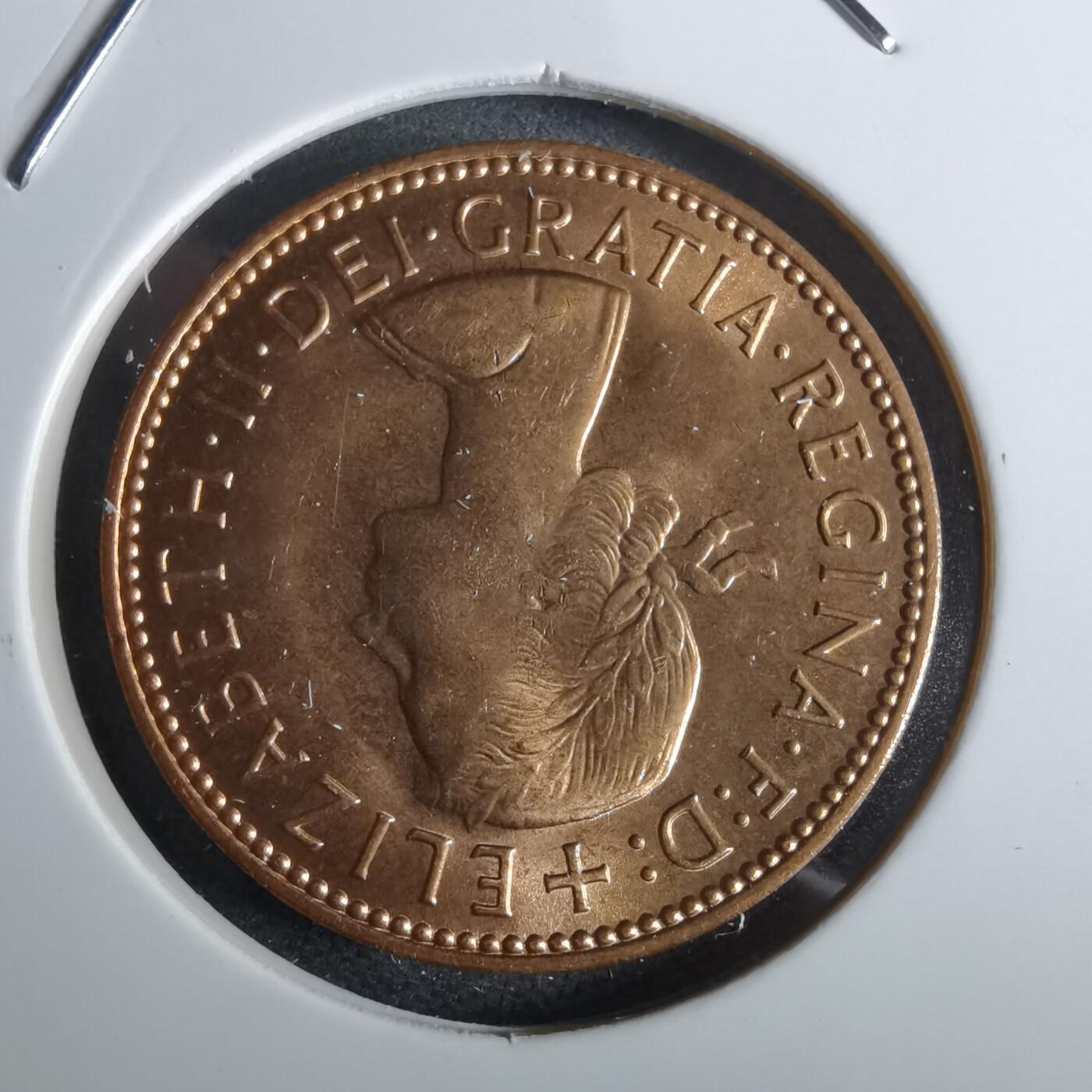 沼泽如烟--第963场