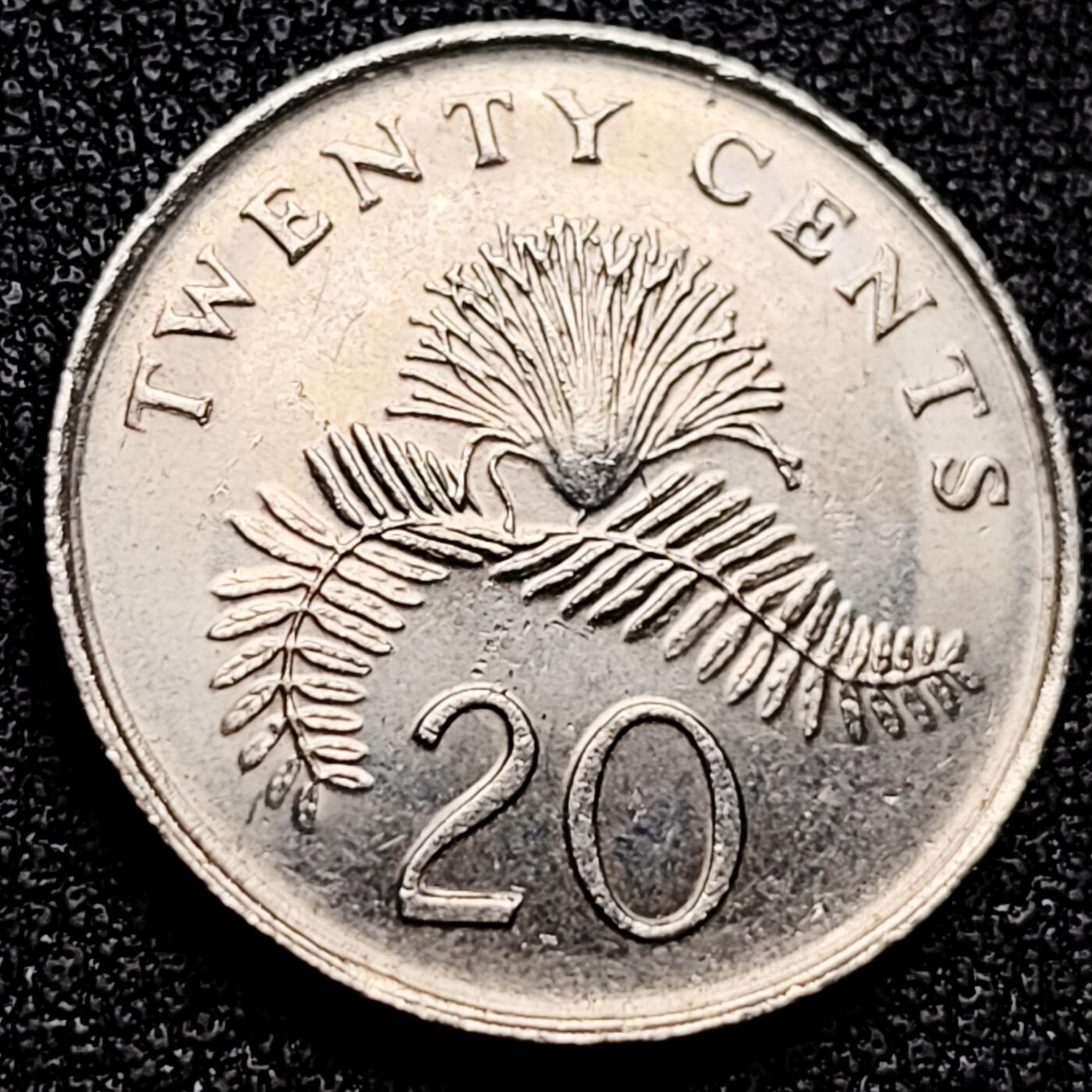 泉币菌-第171场- 精品福利场 。