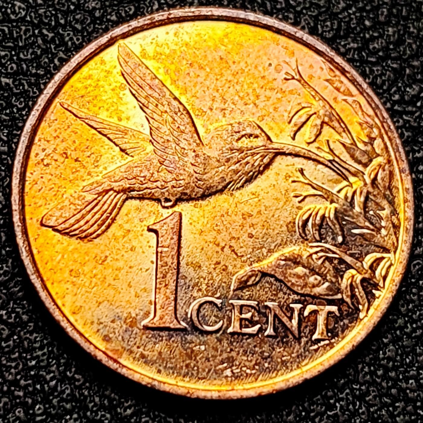 泉币菌-第171场- 精品福利场 。