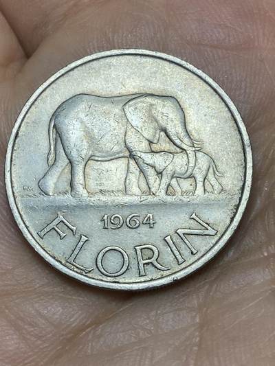 2026年第十场(总第一百七十九场）外国好品散币场(免佣金) - 马拉维🇲🇼1964年1弗洛林(独立后首套流通硬币)