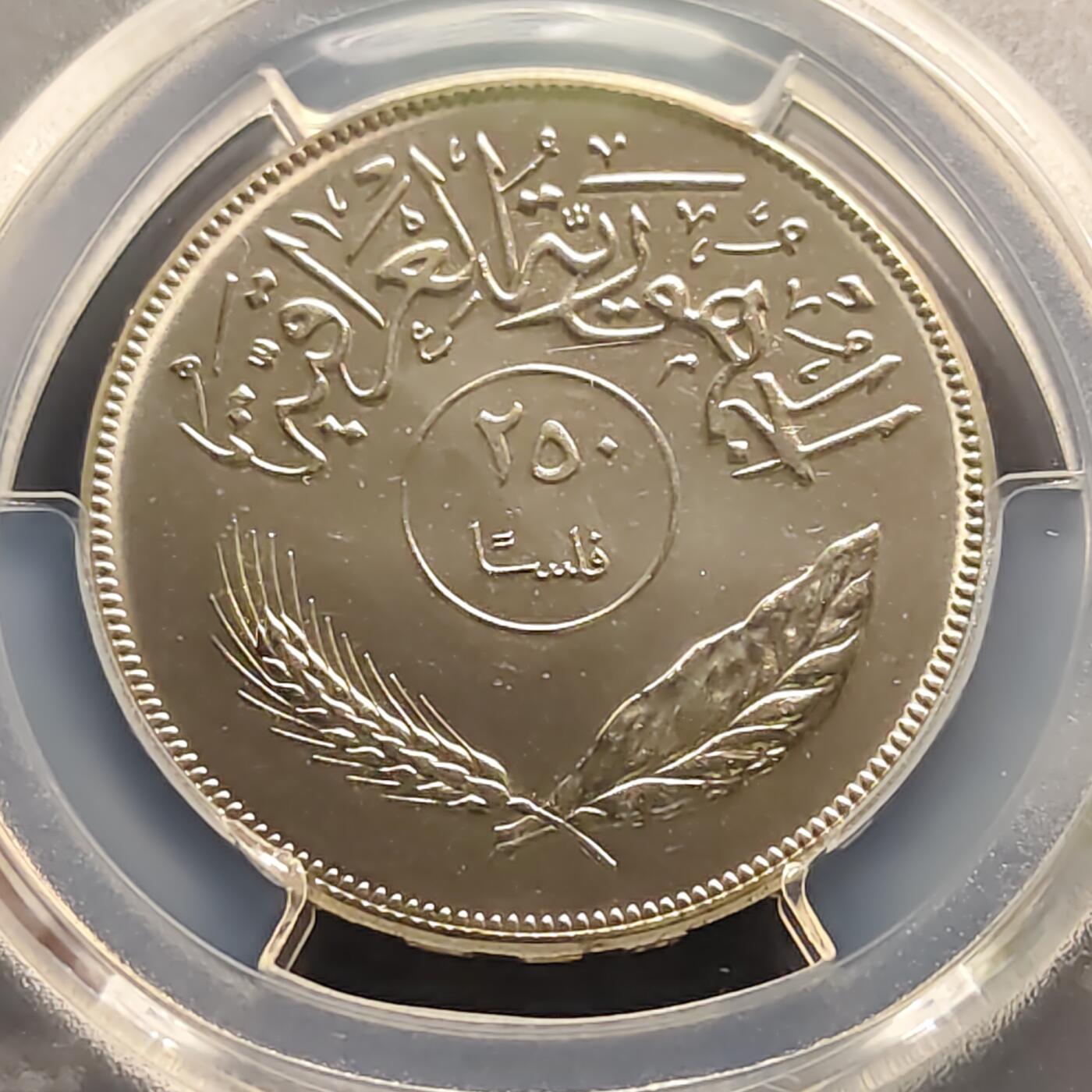 【全场包邮】纯粹捡漏拍497场-持续更新中