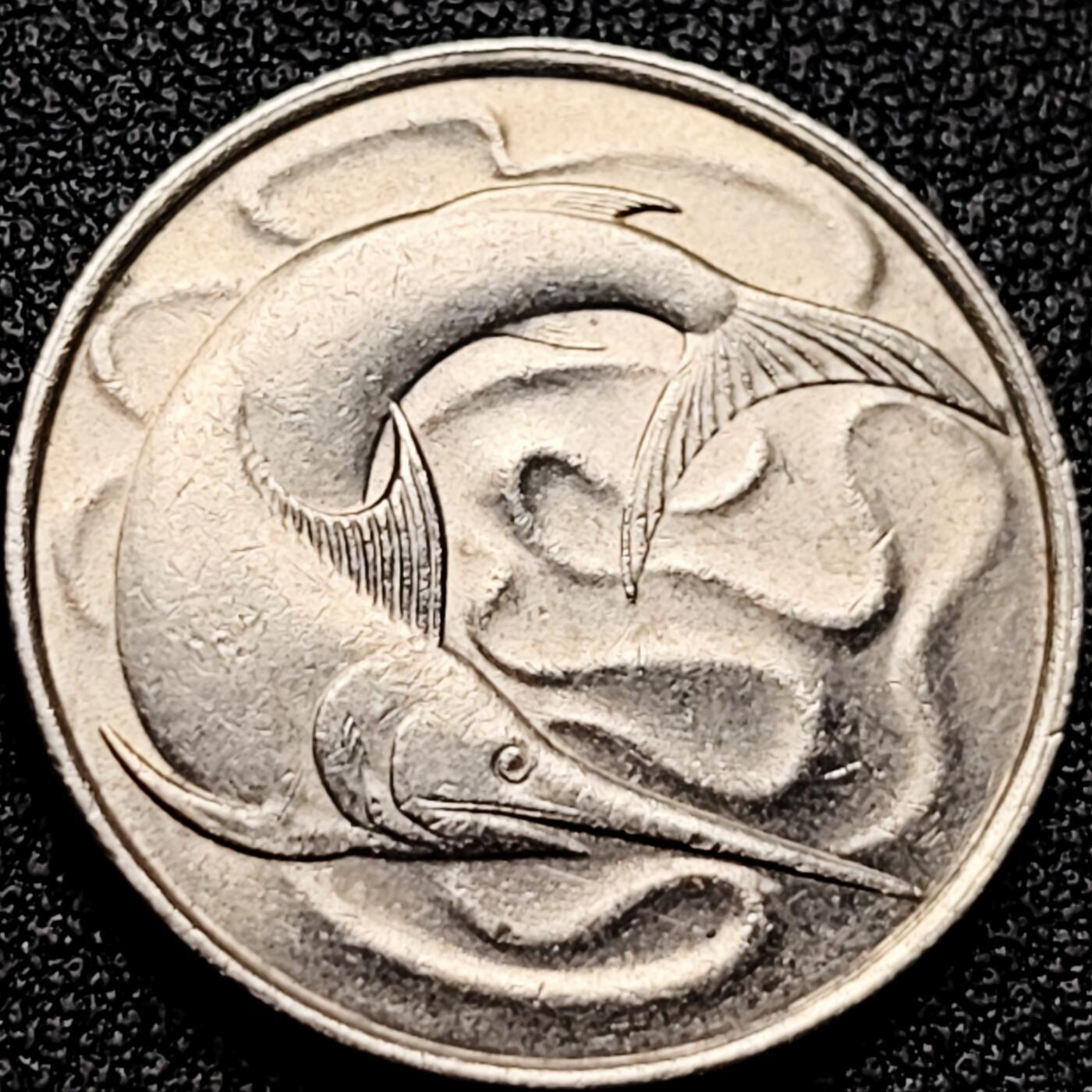 泉币菌-第172场- 精品福利场 。