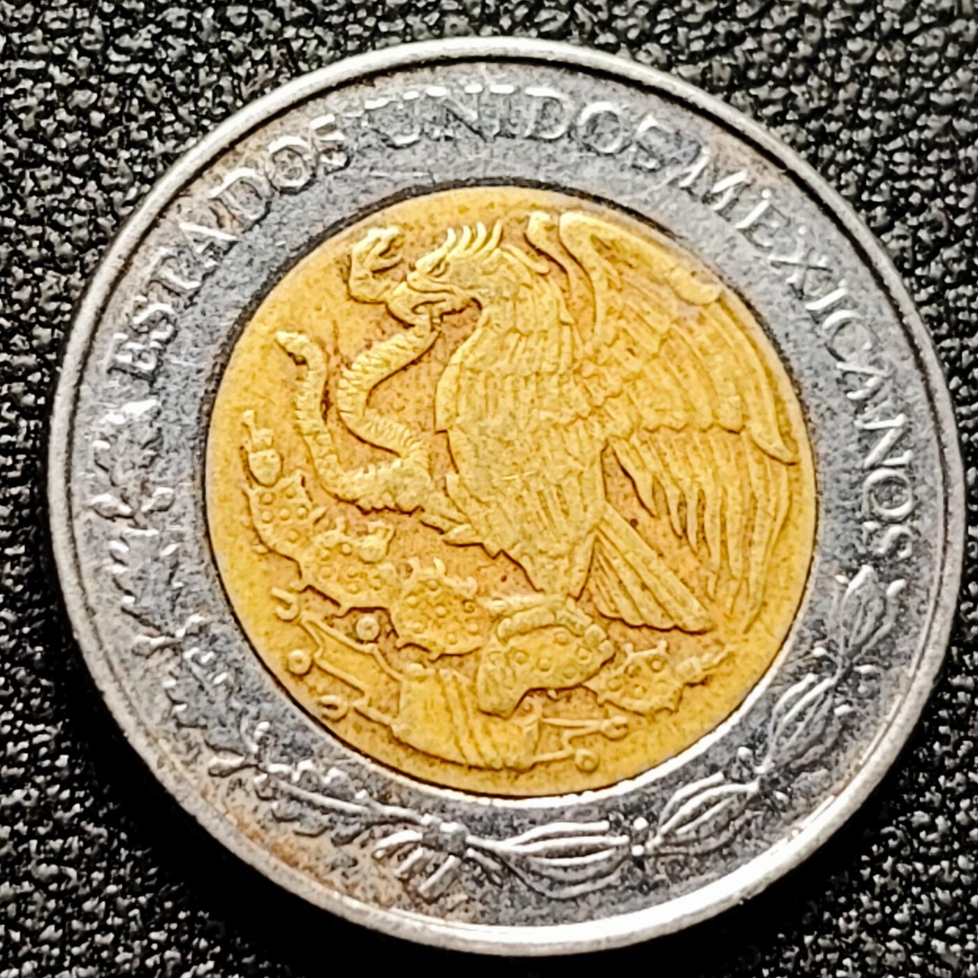 泉币菌-第172场- 精品福利场 。