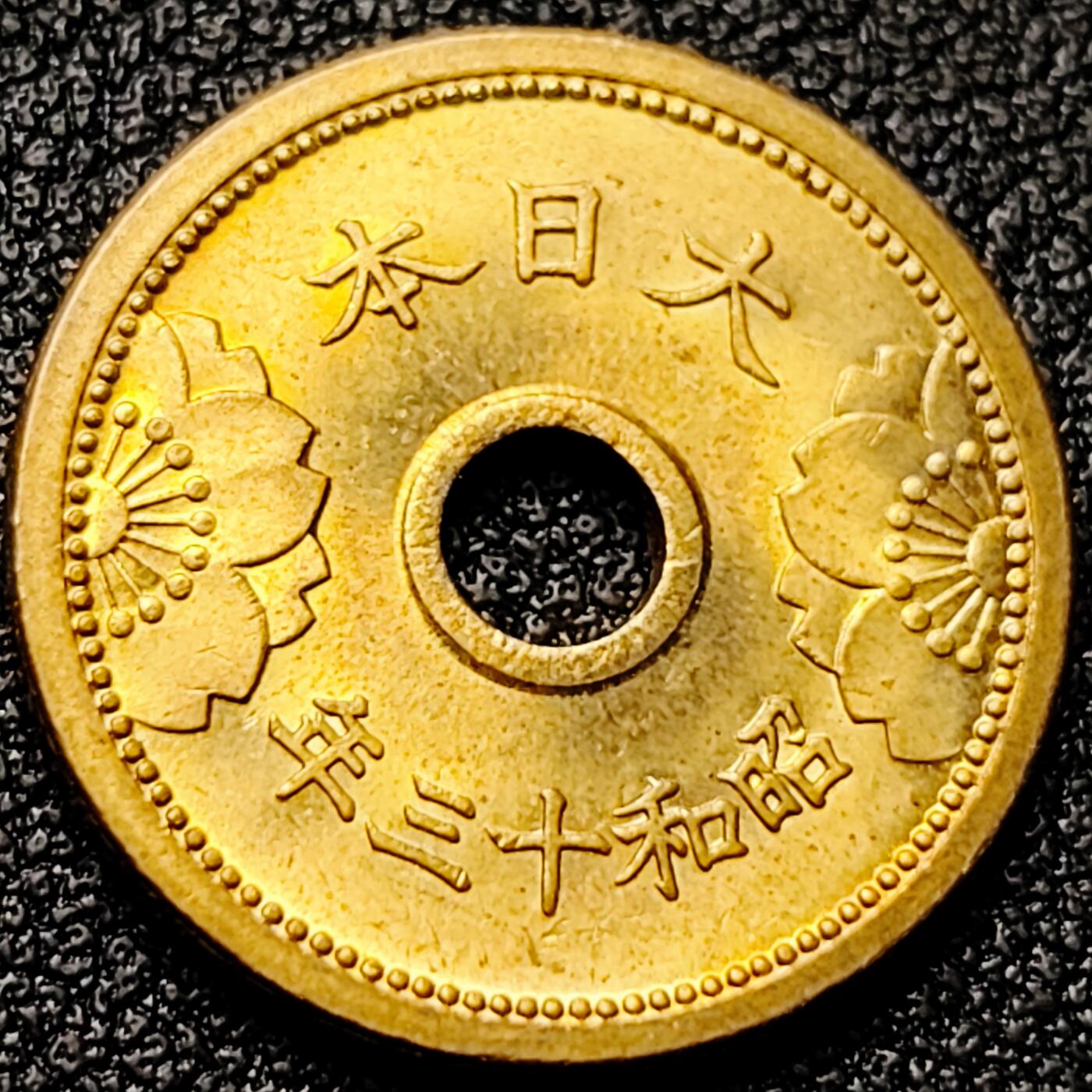 泉币菌-第172场- 精品福利场 。