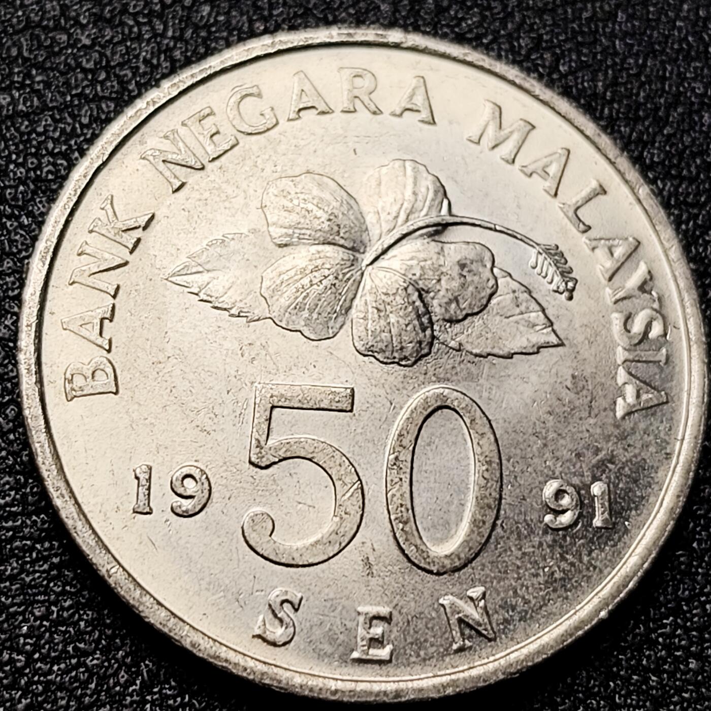 泉币菌-第172场- 精品福利场 。