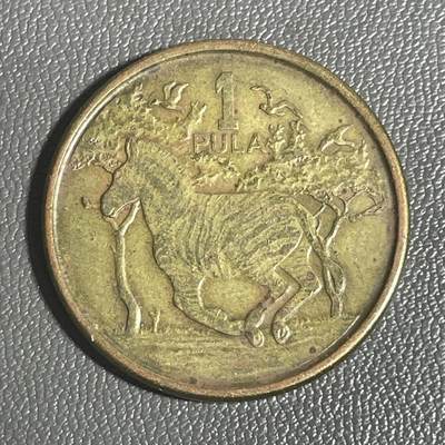 回流0120 - 博茨瓦纳2013年1普拉硬币 斑马🦓