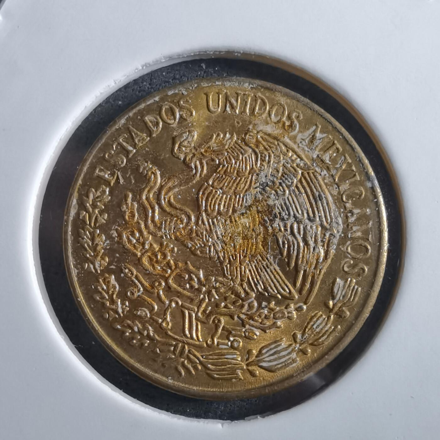 沼泽如烟--第966场