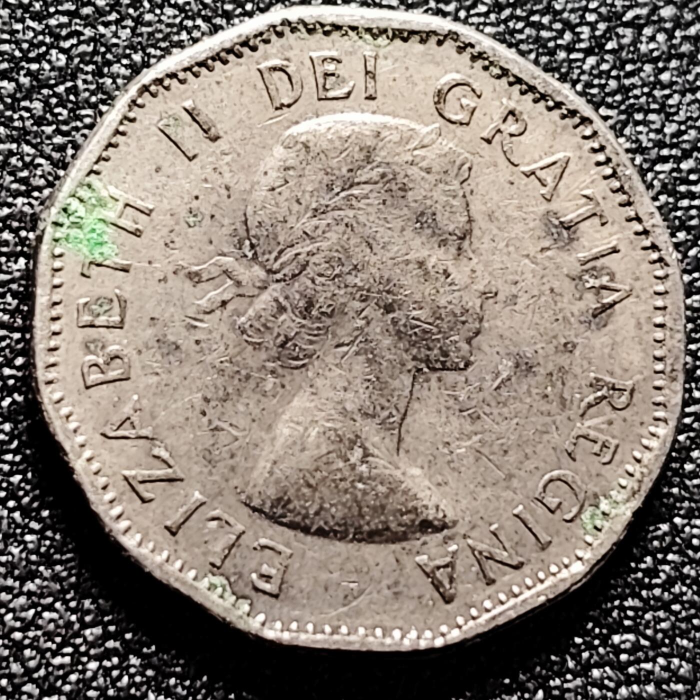 泉币菌-第172场- 精品福利场 。