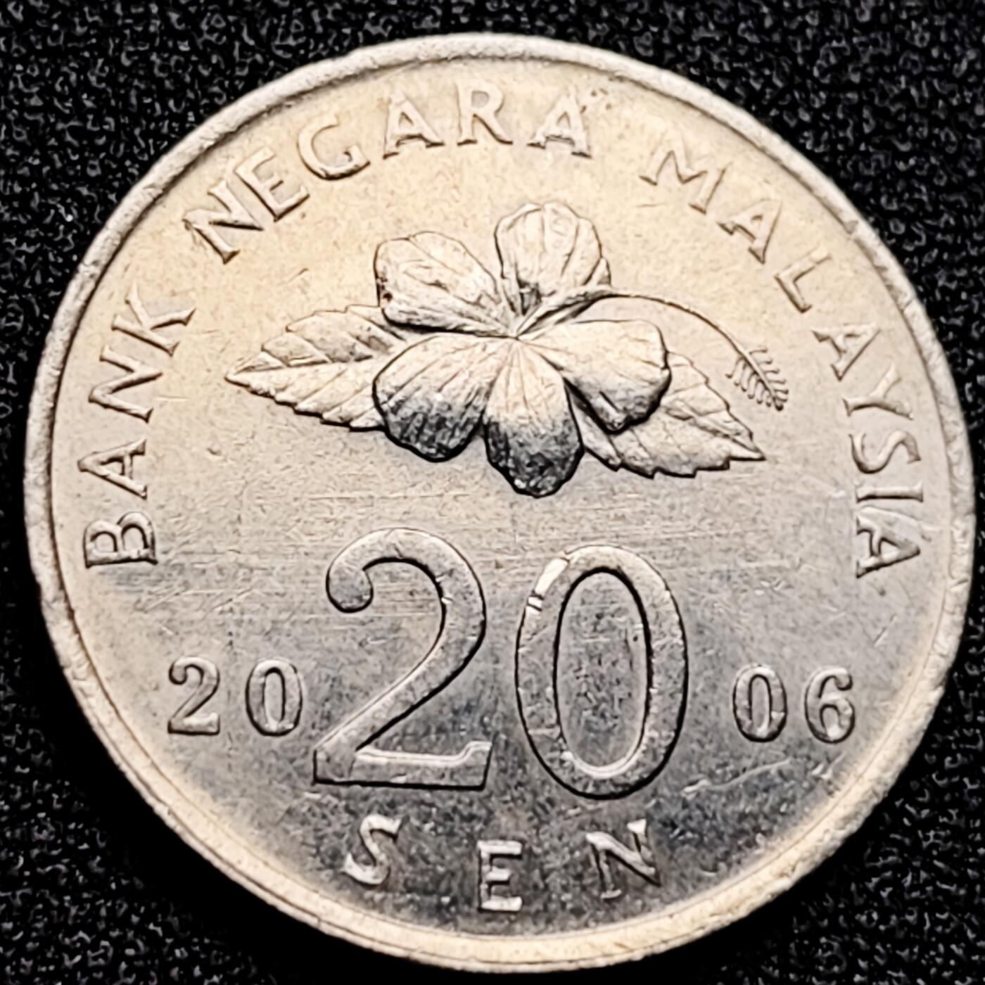 泉币菌-第172场- 精品福利场 。