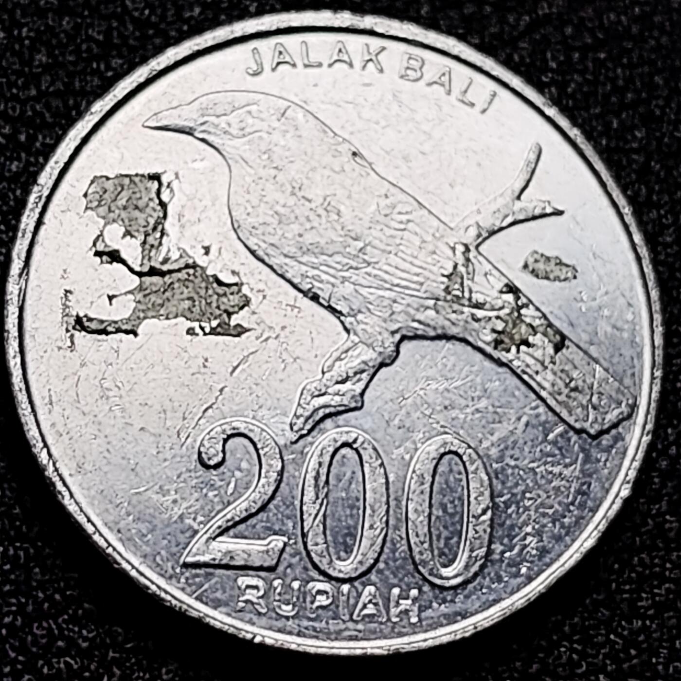 泉币菌-第172场- 精品福利场 。