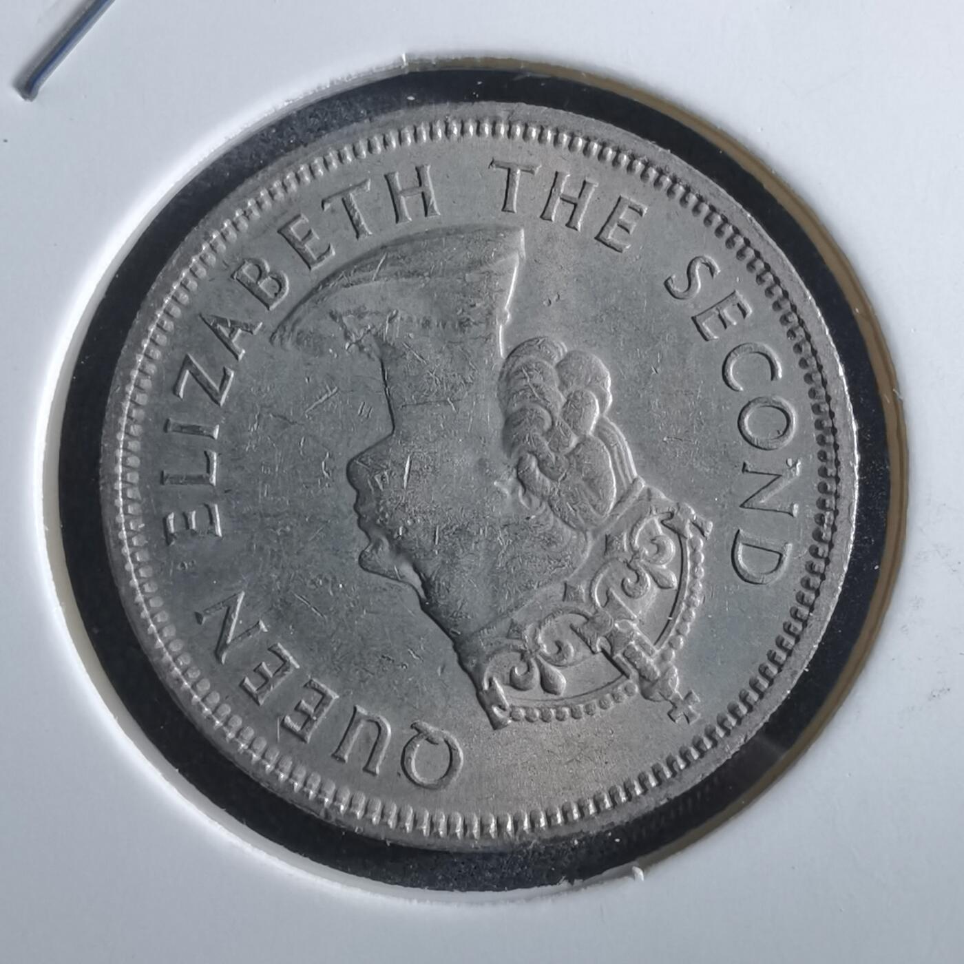 沼泽如烟--第966场