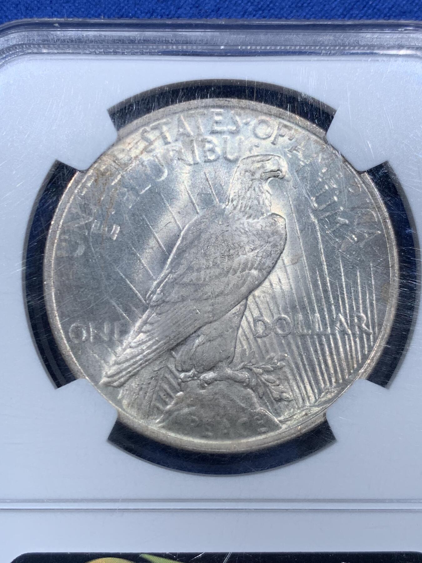 《竞宝斋》第459场 周日，周一，2场连拍 （全场包邮）欢迎送拍 NGC MS63 美国 1923年 和平 1美元 银币