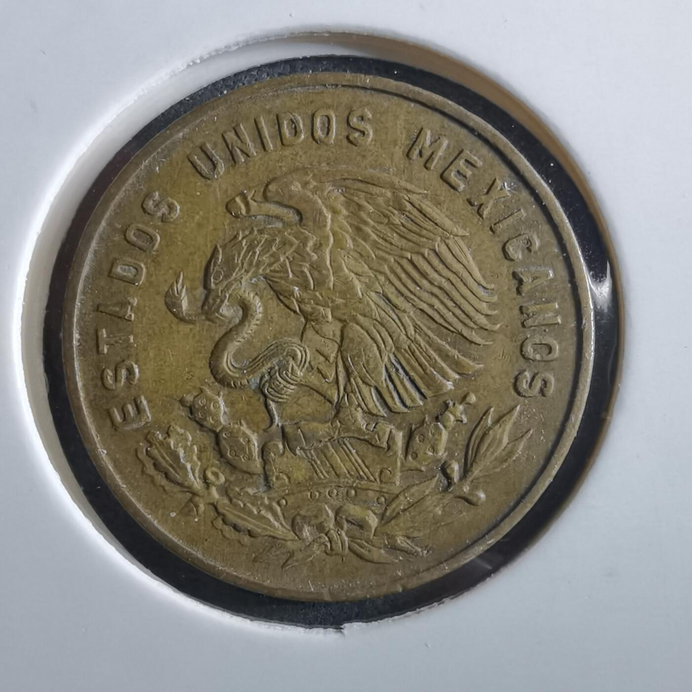 沼泽如烟--第966场