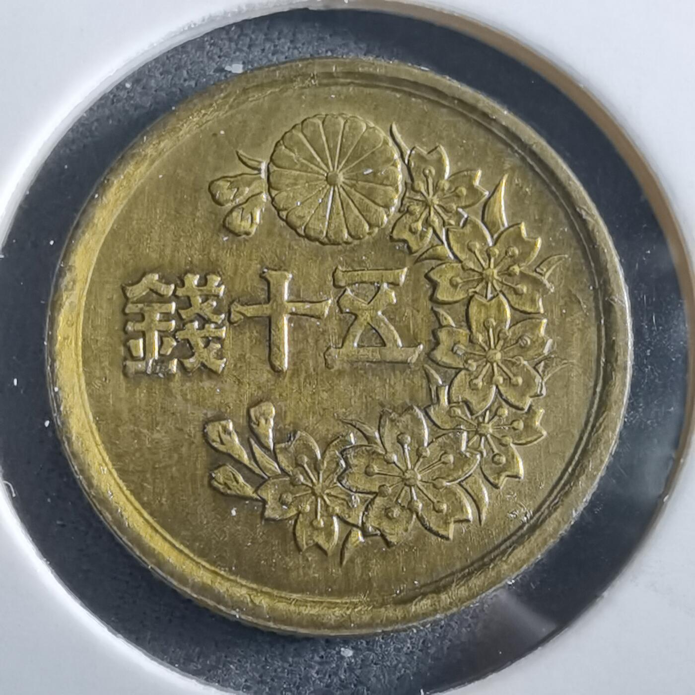 沼泽如烟--第966场