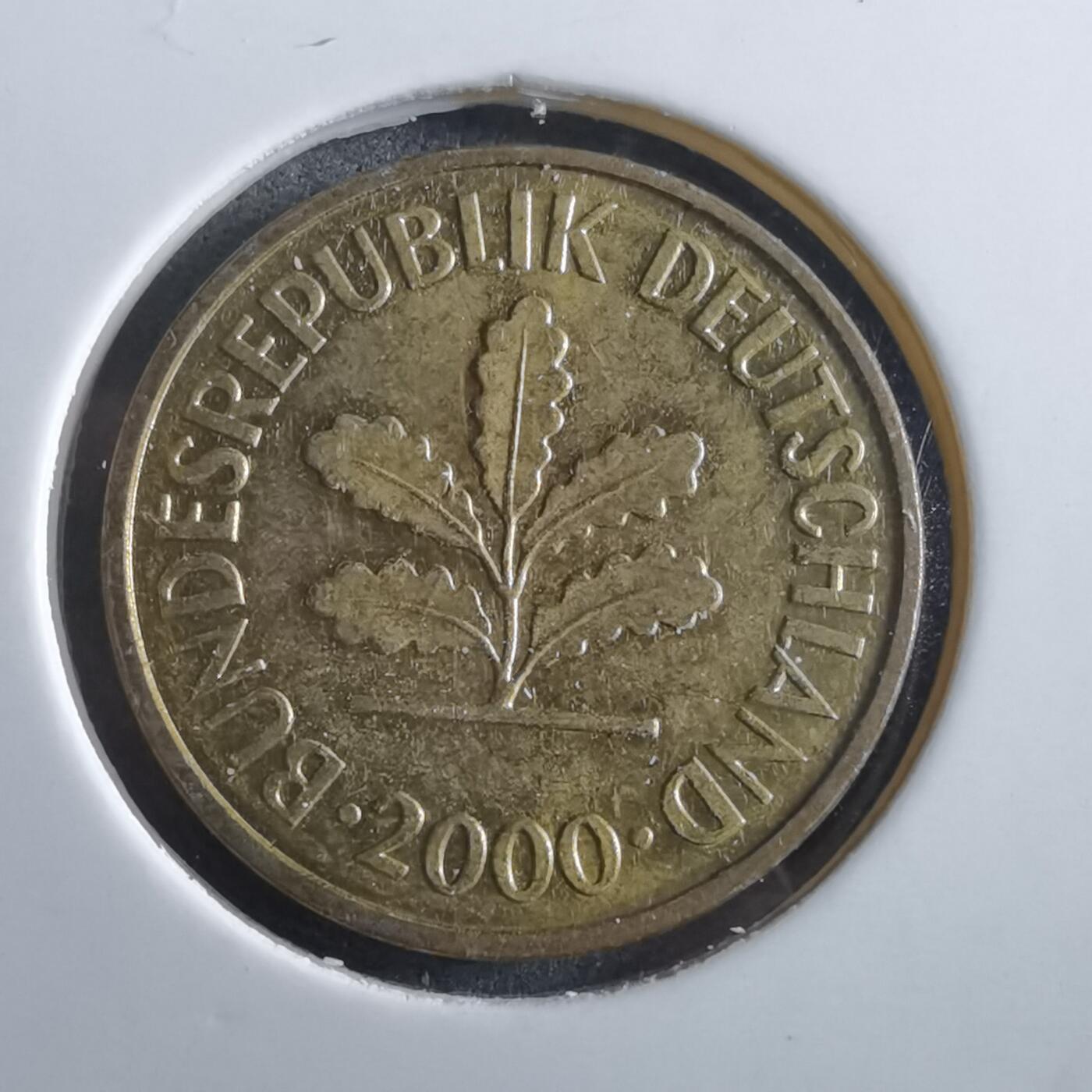 沼泽如烟--第966场