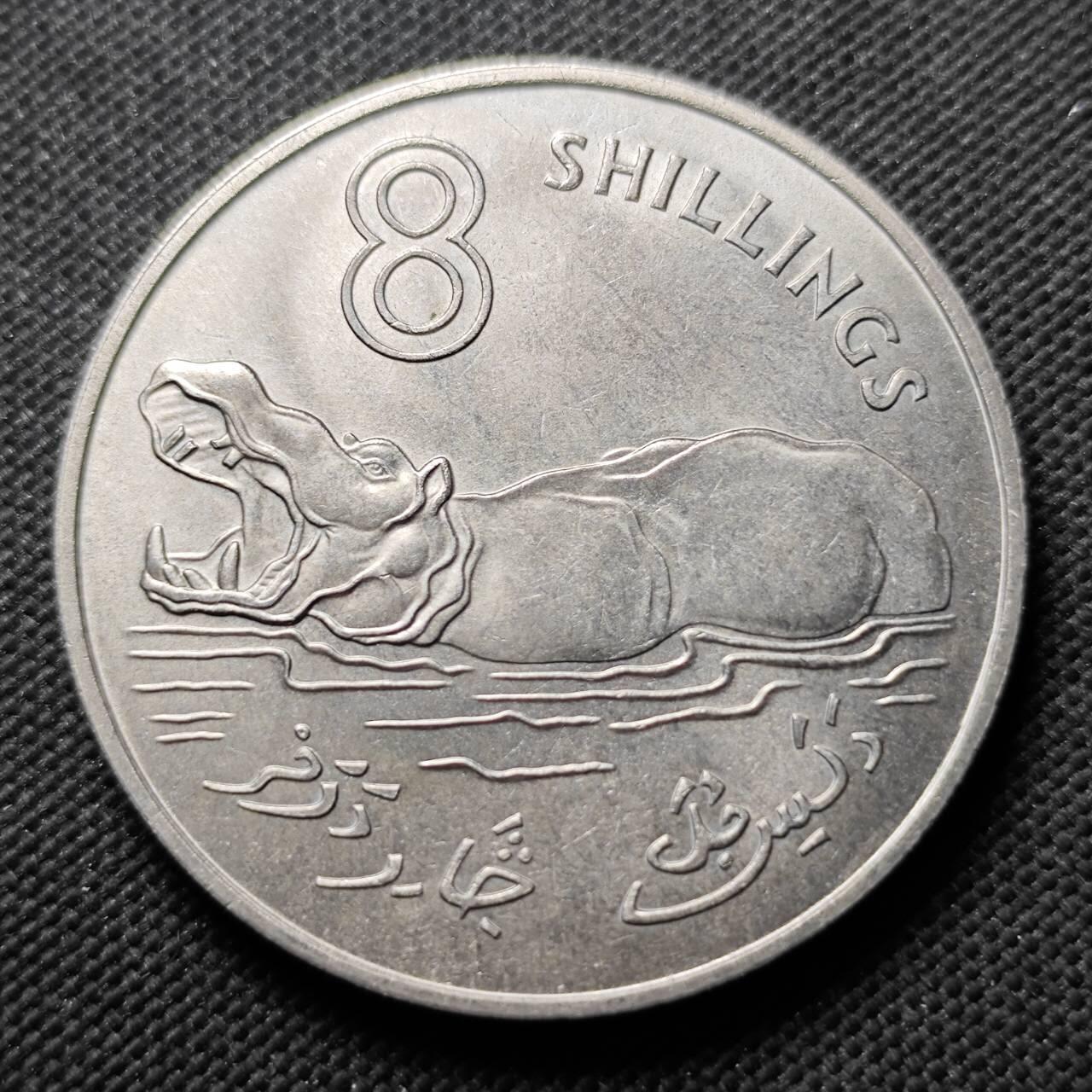 KK钱币收藏小铺  第400期  百期特拍（四拍之四）2月预留时间 周末发货  1970英属冈比亚8先令 大河马