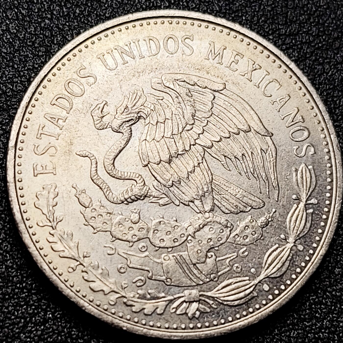 泉币菌-第172场- 精品福利场 。